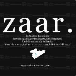 Anadolu-Zaar