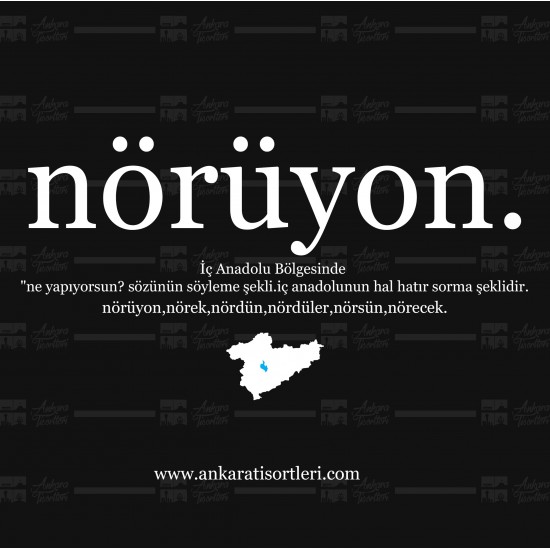 Anadolu-Nörüyon
