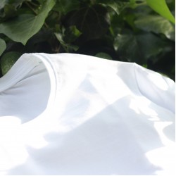 Bu dolmuş, dolmuş mu ?