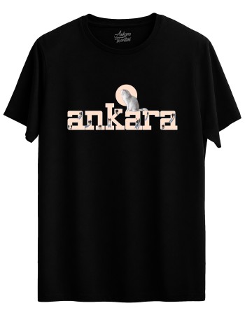 Ankara Kedisi Ve insanlar