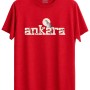 Ankara Kedisi Ve insanlar