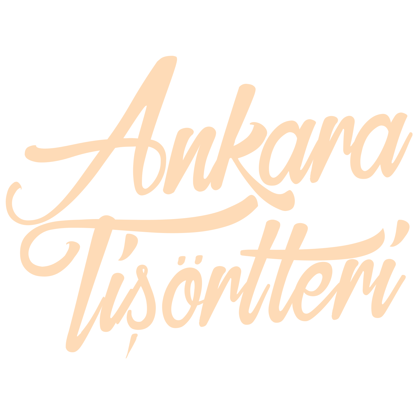 Ankara Tişörtleri