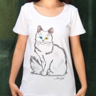 K-Ankara kedisi Yeni sezon